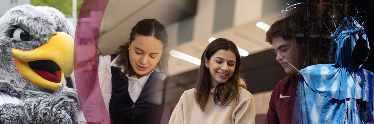 McMaster Humanities banner