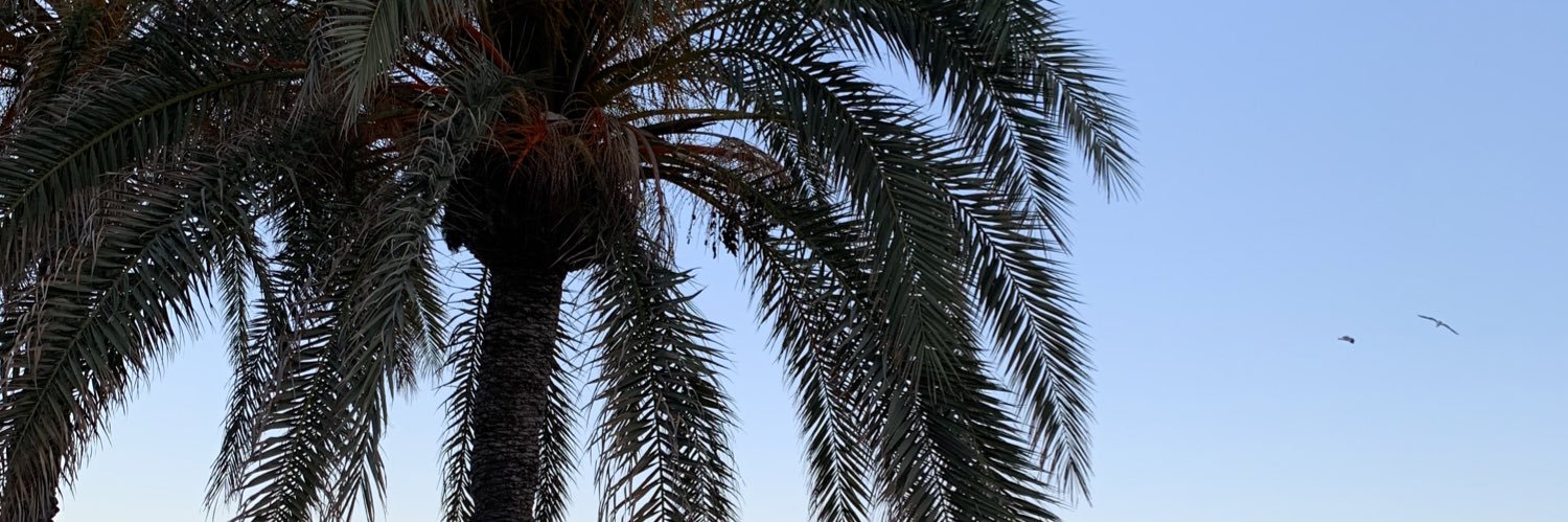 mariluztomas_'s profile banner image