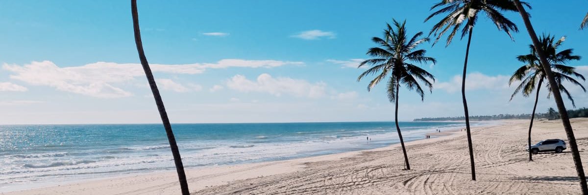 rodrigoppb's profile banner image