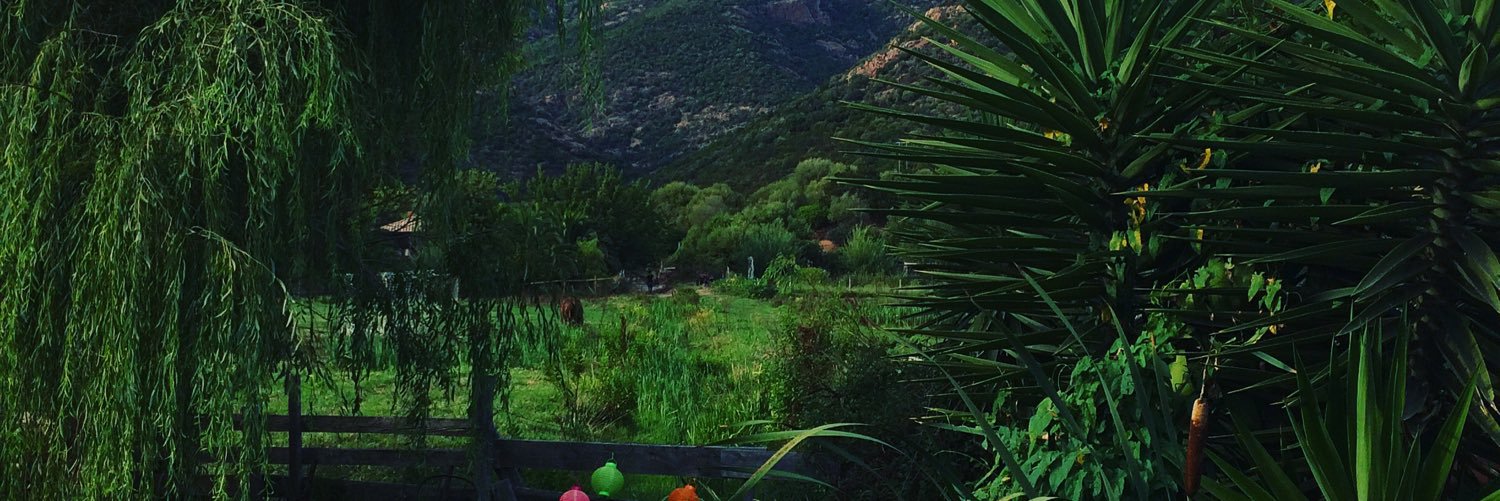 DuretTony's profile banner image