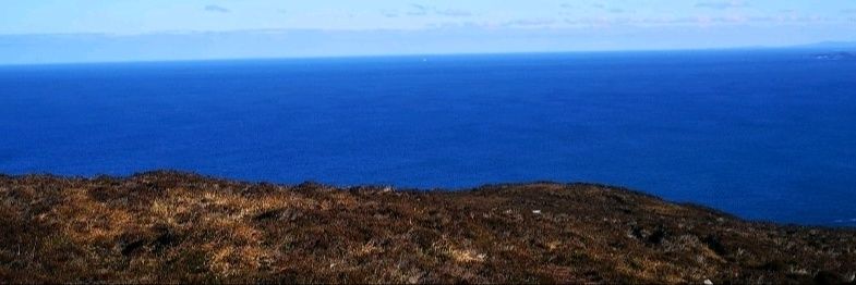 Sinead Jordan RANP banner