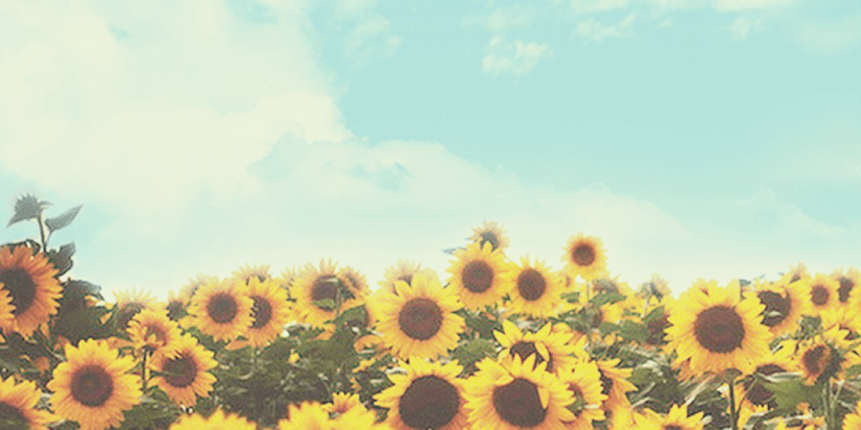 riszzaa's profile banner image