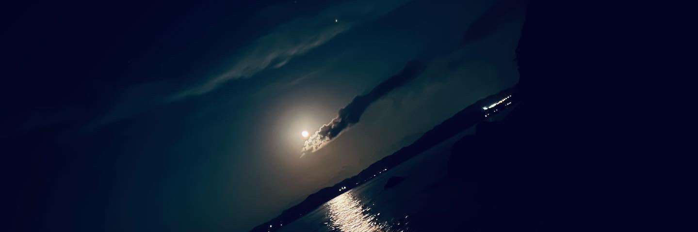 Fishing_Ryusuke's profile banner image
