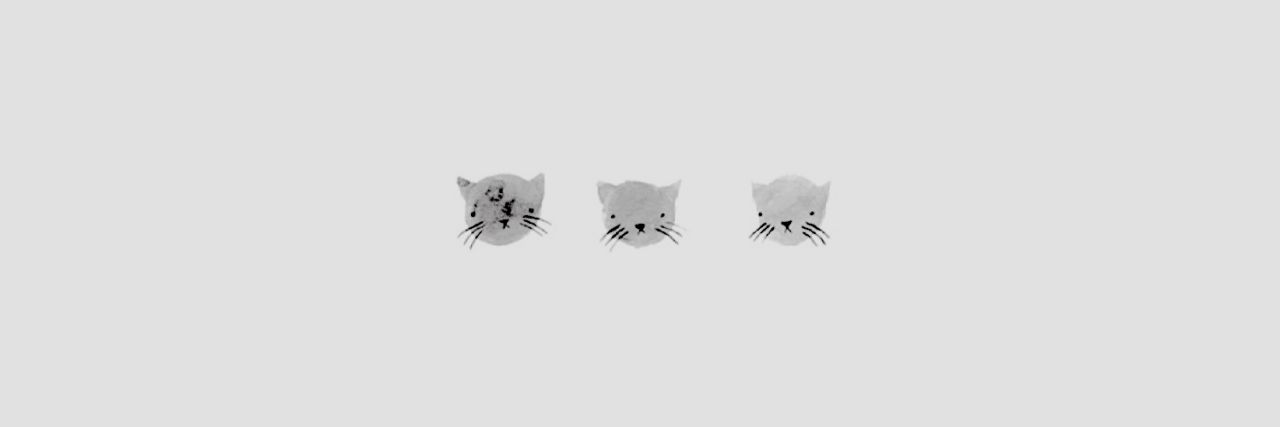 seohamms's profile banner image