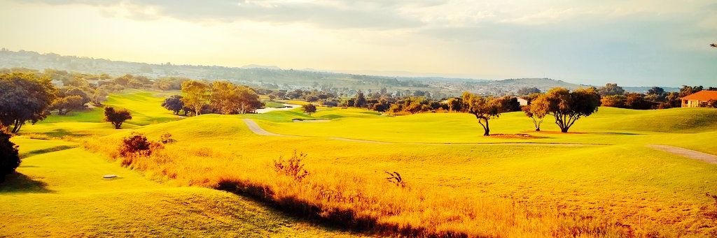 Don_Zwinky's profile banner image