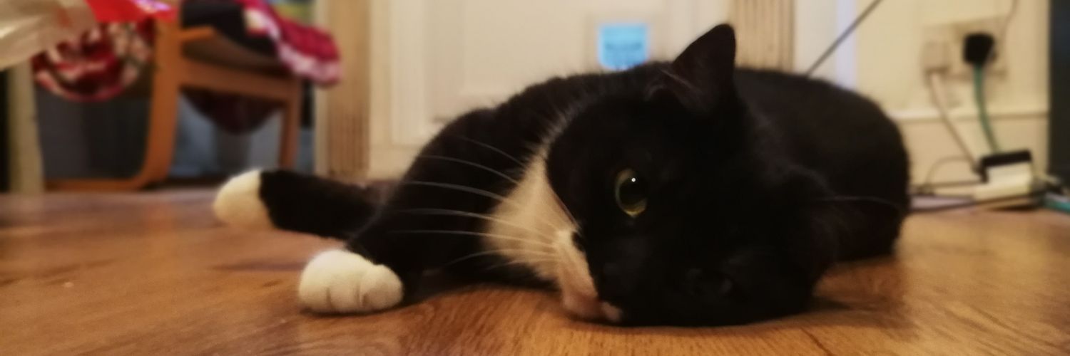 casshmbowman's profile banner image