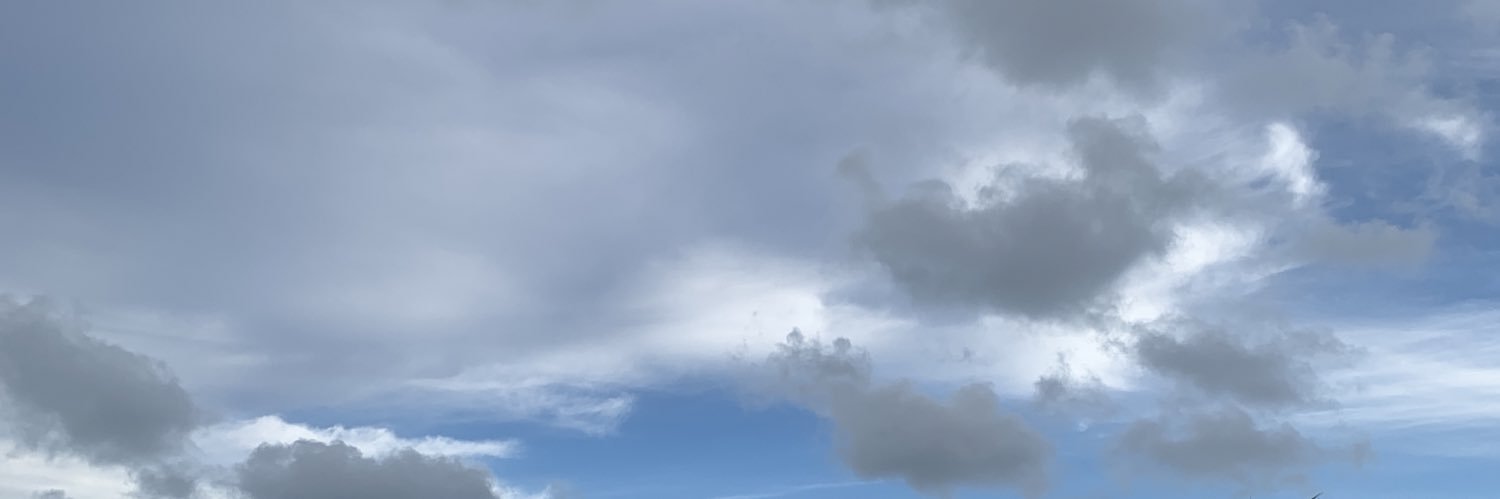 nerdreadlocks banner