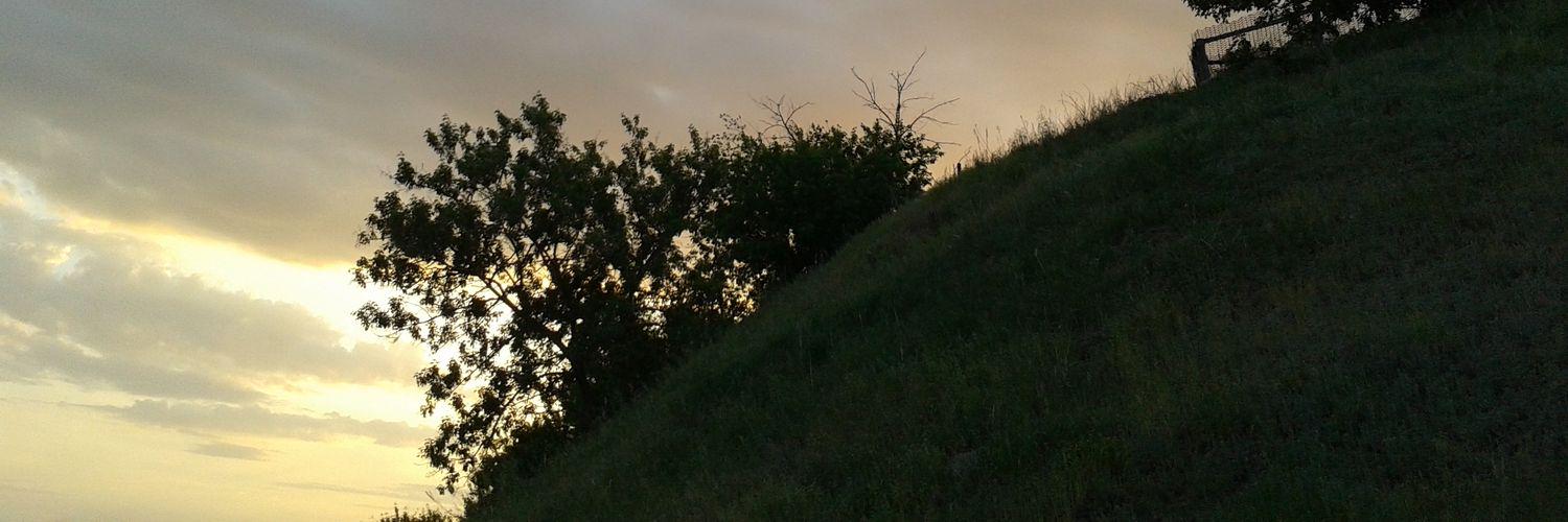 bikiva59's profile banner image