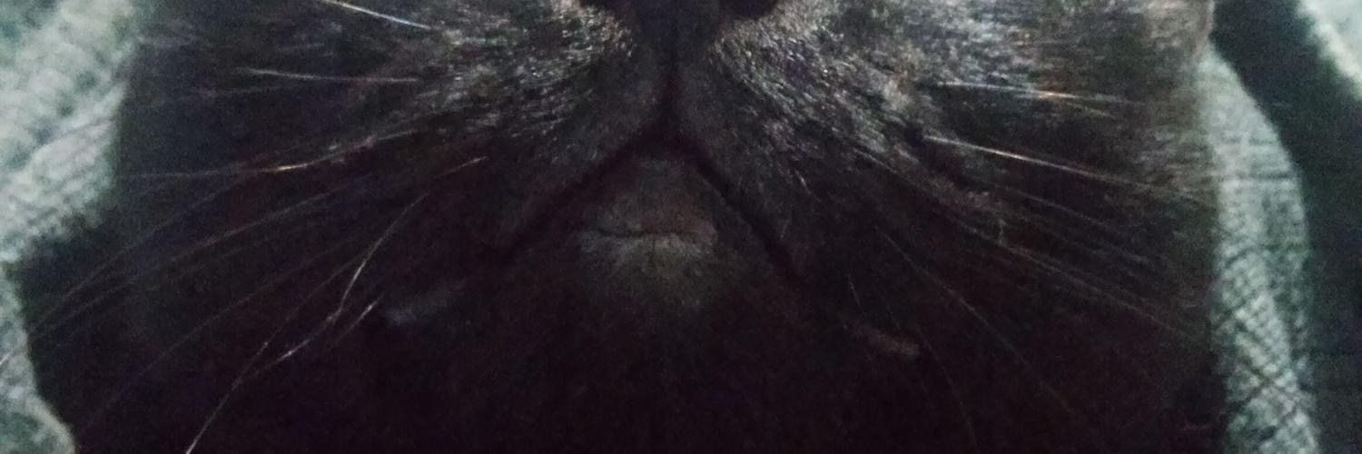 cuysapo's profile banner image