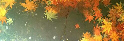 arashidevil's profile banner image