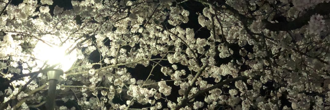 chan8_ryo's profile banner image
