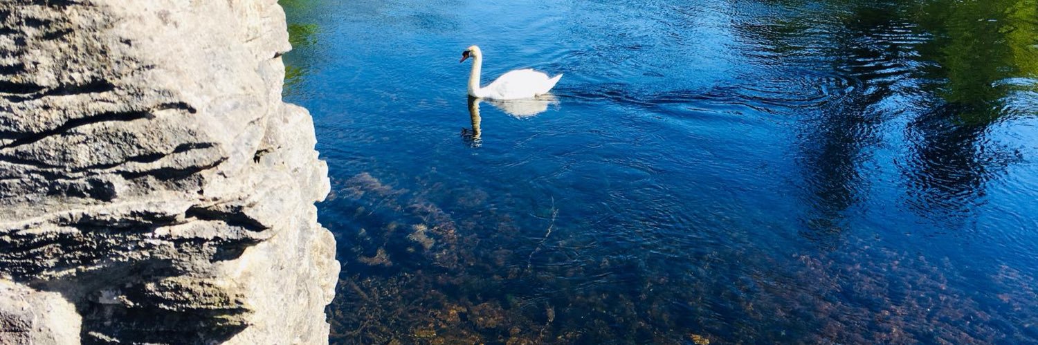 european🇮🇪🏴󠁧󠁢󠁳󠁣󠁴󠁿🇪🇺 banner