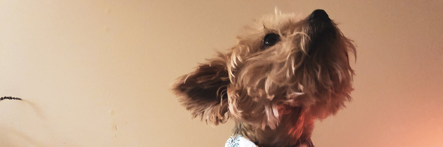 ashleyreadsb's profile banner image