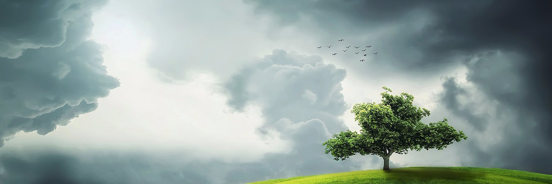 codeSTREAM banner