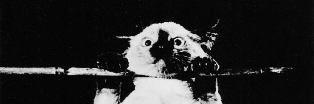 841io's profile banner image