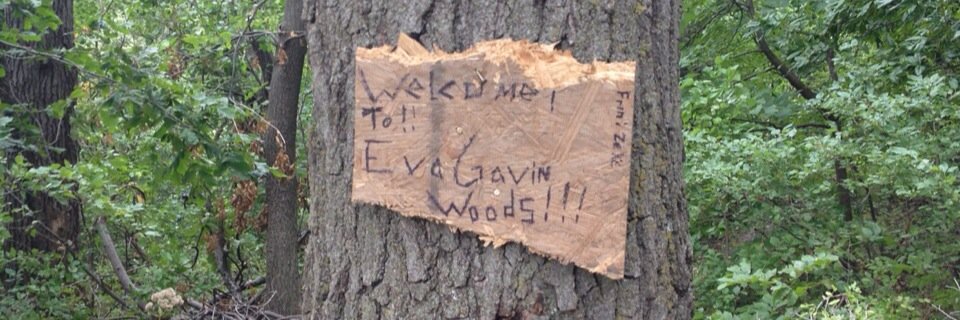 Eva Gavin's banner