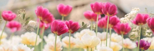 Mariana Molina banner