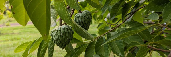 shrihariprasad Profile Banner