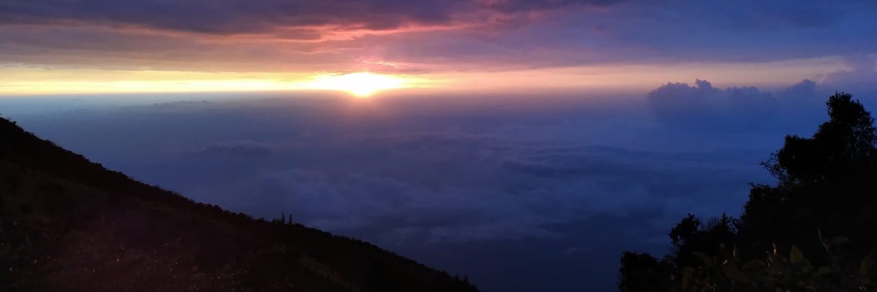 debby_nora's profile banner image