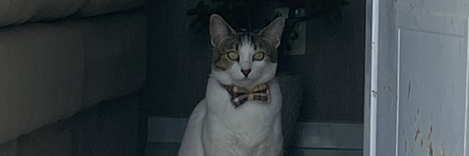 otorrs's profile banner image