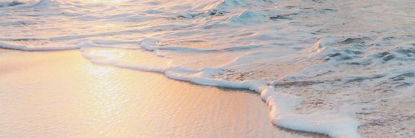 Surfsidedc Profile Banner