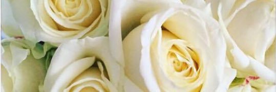 carlydelaney's profile banner image