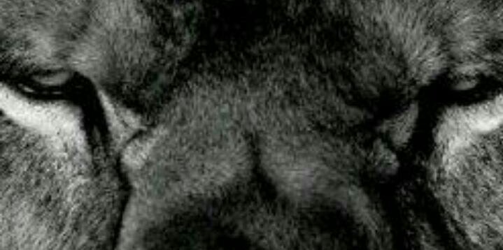 Axmxdze's profile banner image
