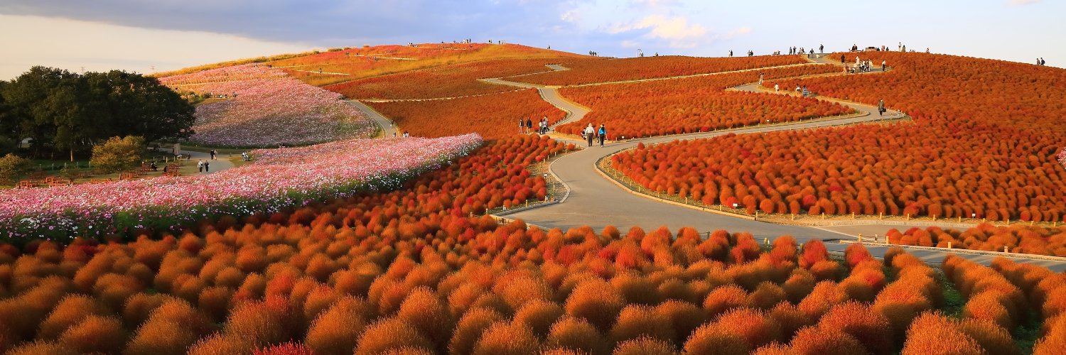 JapanGov's profile banner image