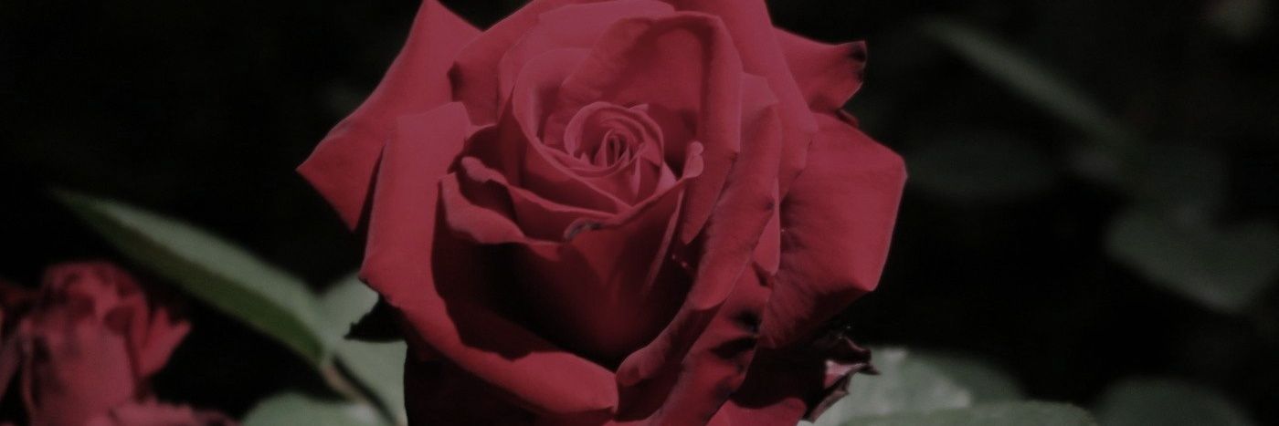 𝕽𝖆𝖛𝖊𝖓𝕽𝖔𝖘𝖊 banner