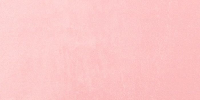Worapithcha's profile banner image