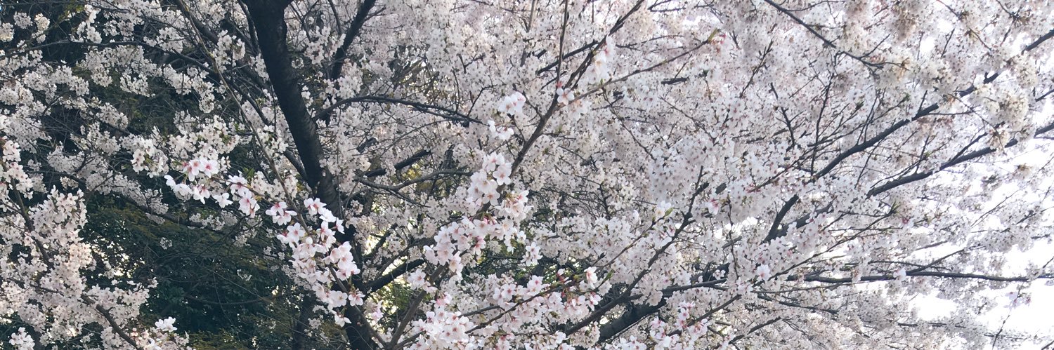 hummingkettle's profile banner image