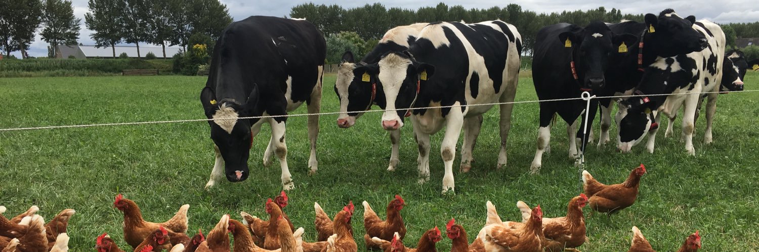 Johan de Jong banner