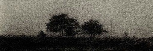 Fatimah_abt's profile banner image