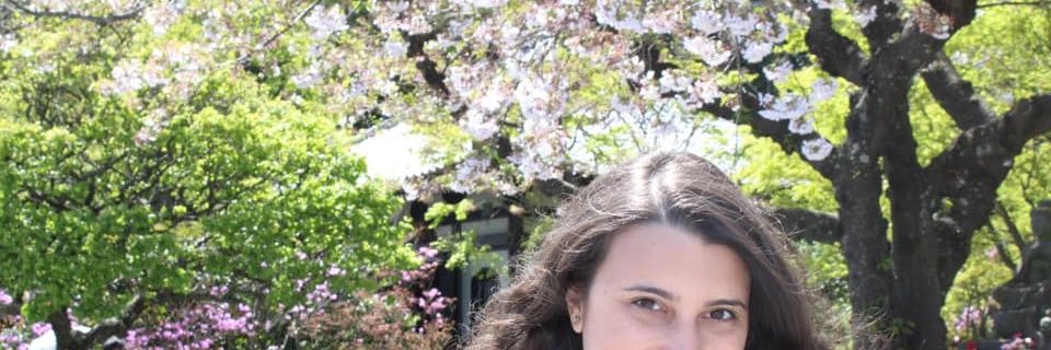 MammaVolpe's profile banner image