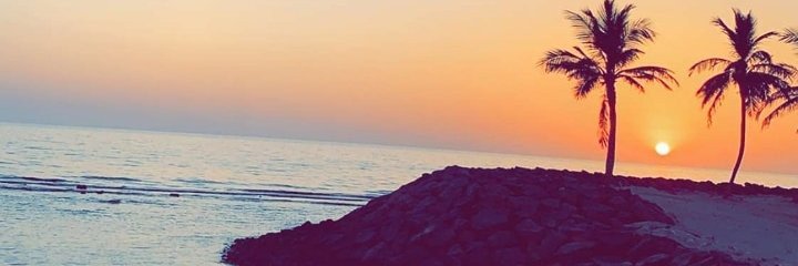 ee_nn_nn's profile banner image