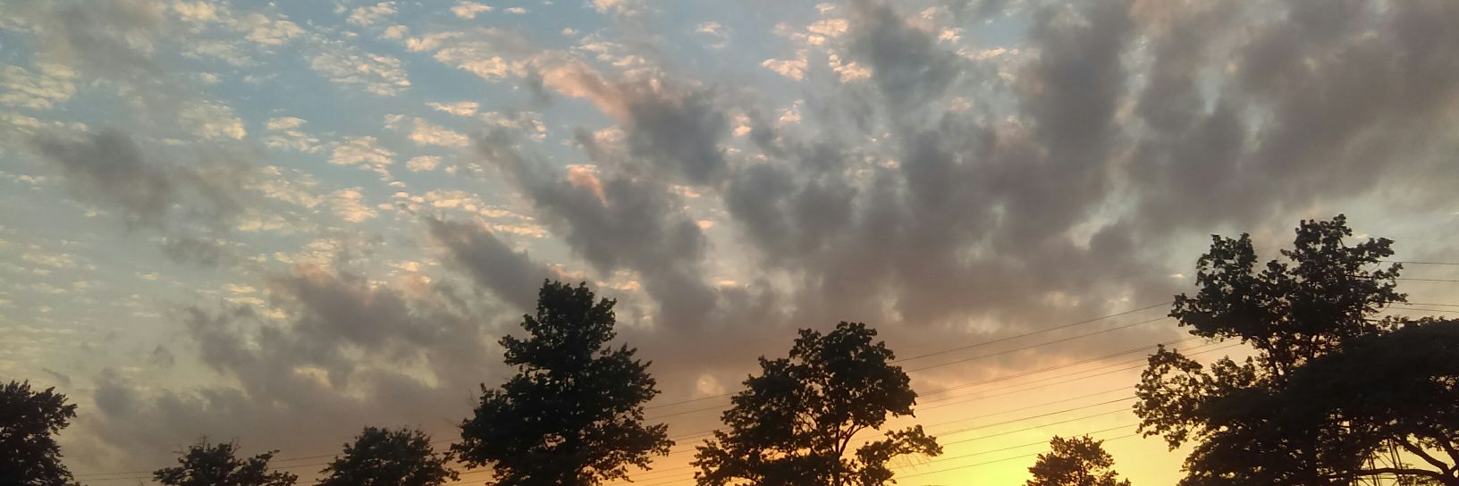 LizzieSamuels6's profile banner image