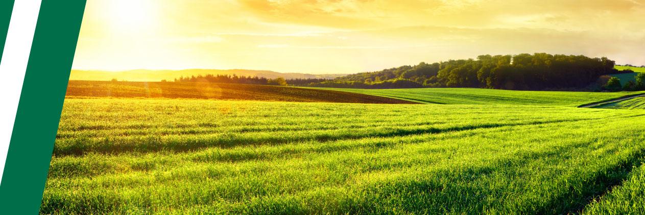 Ihry Insurance banner