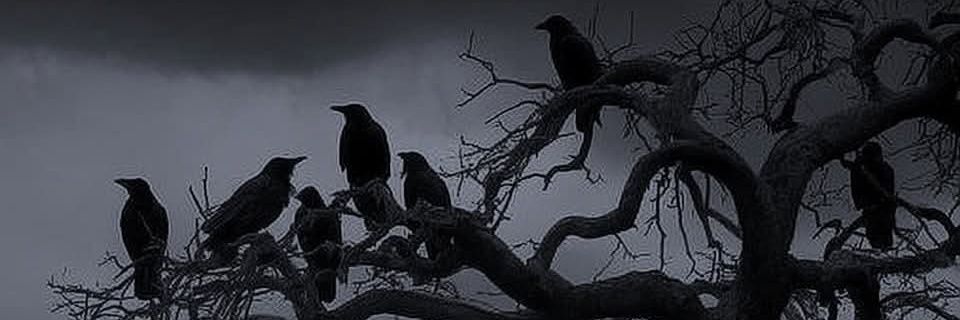 Jrcmash's profile banner image