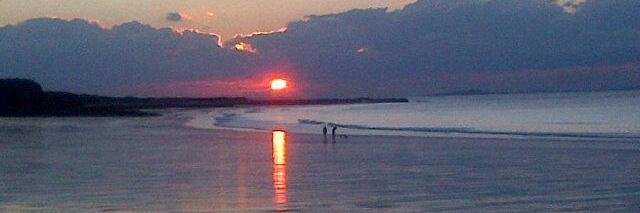 Calum Cashley banner