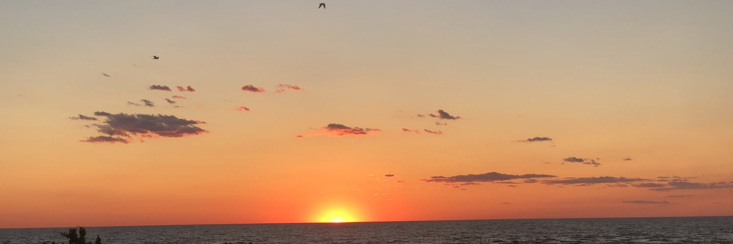 avamoser's profile banner image