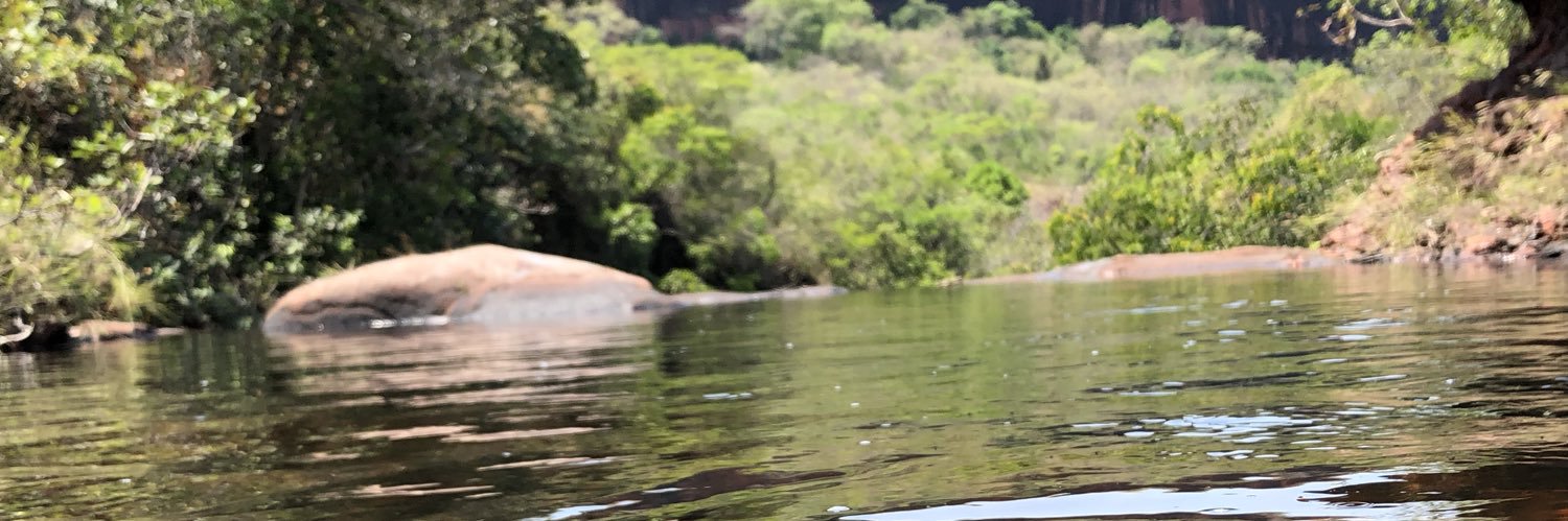 Railene Borges banner