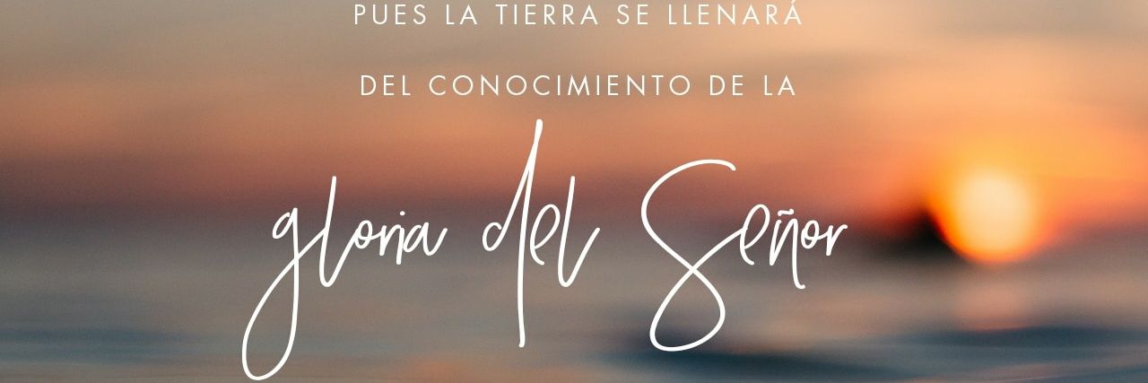 Daniel Contreras banner