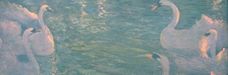 claramundy's profile banner image