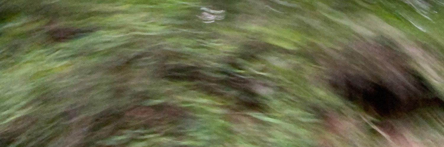 drgoboc's profile banner image