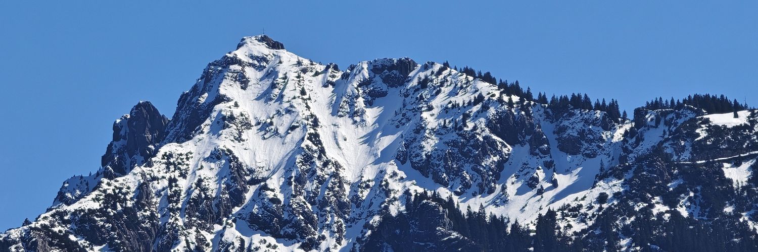 Son_Gras's profile banner image