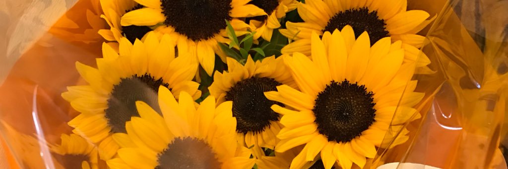 masi0324's profile banner image