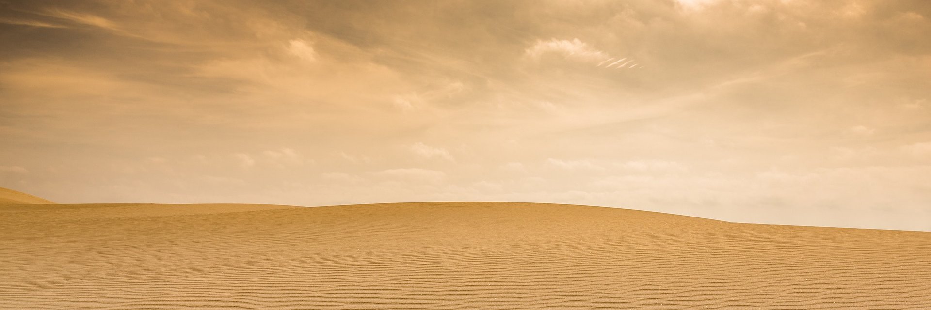 DavidHugginsORI's profile banner image