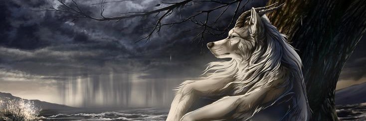 Zynaissance's profile banner image