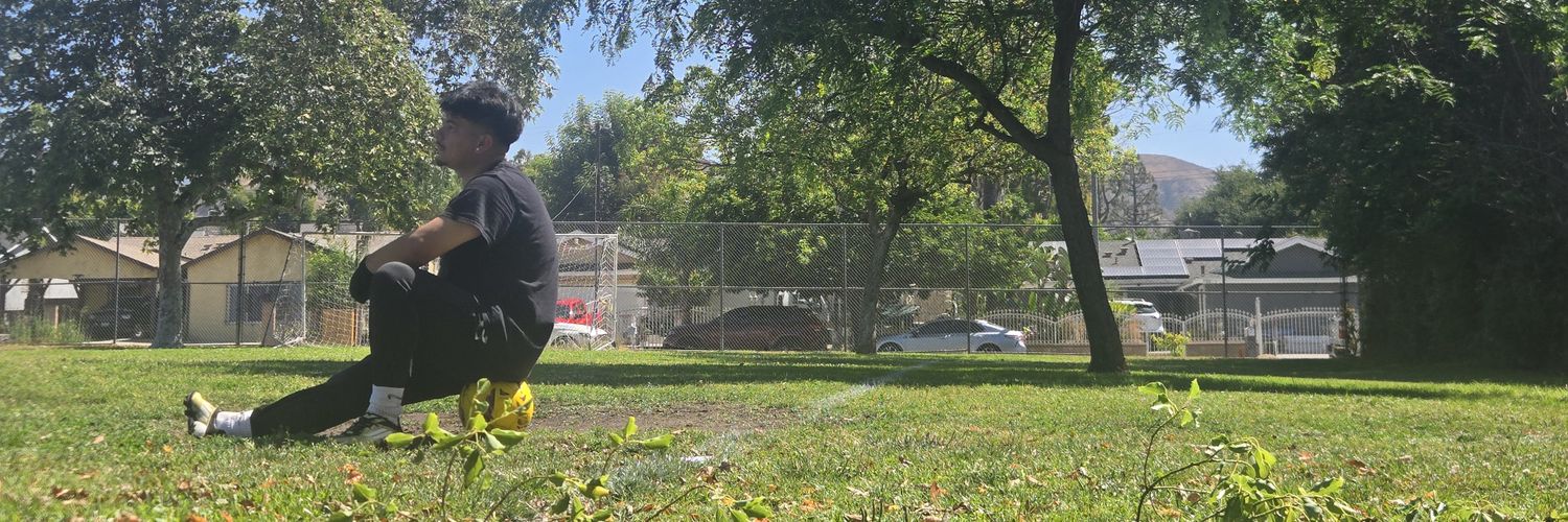 lonesux's profile banner image