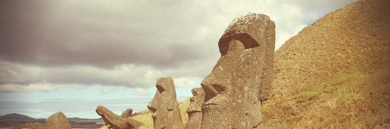 Thomas Billaut banner